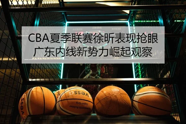 CBA夏季联赛徐昕表现抢眼 广东内线新势力崛起观察