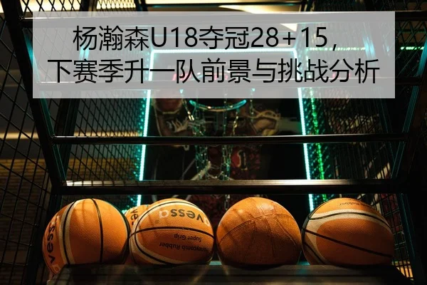 杨瀚森U18夺冠28+15，下赛季升一队前景与挑战分析